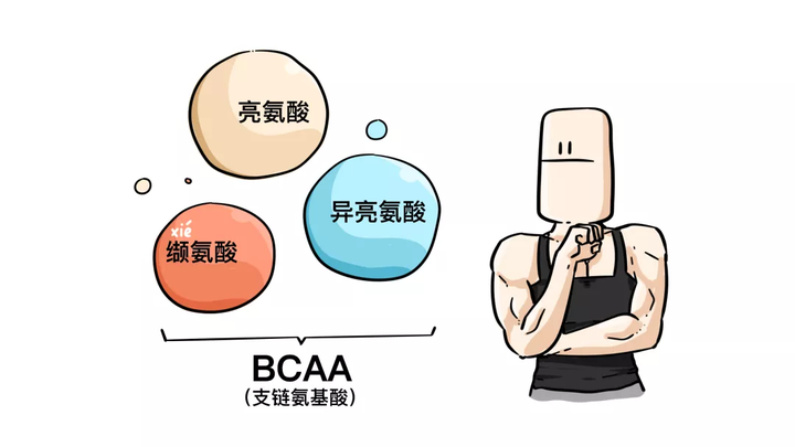 虾肉补钙吗(虾肉补钙还是虾壳补钙)-硒宝网