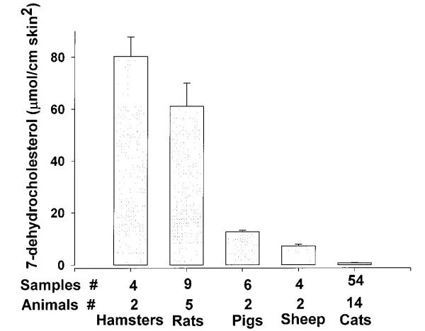 晒太阳可以补钙（补钙晒太阳）-硒宝网