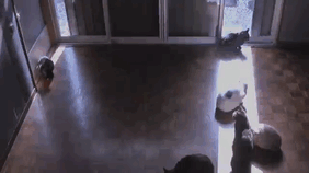 晒太阳可以补钙（补钙晒太阳）-硒宝网