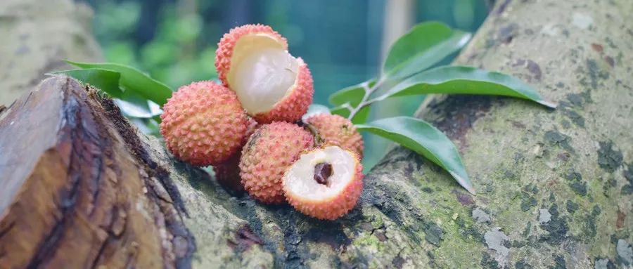 吃了锌硒宝后尿多（吃锌硒宝可以要小孩吗）-硒宝网