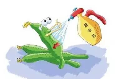 排骨汤能补钙吗(排骨汤补钙好吗)-硒宝网