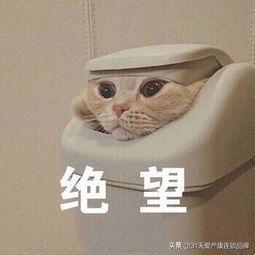 孕妇补铁会便秘吗（便秘孕妇补铁会便秘吗）-硒宝网