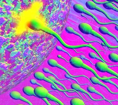 龙鹿丸配合锌硒宝（锌硒宝和锌片有什么区别）-硒宝网