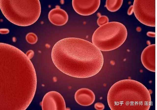 蓝莓补铁吗（蓝莓补铁吗补血吗）-硒宝网