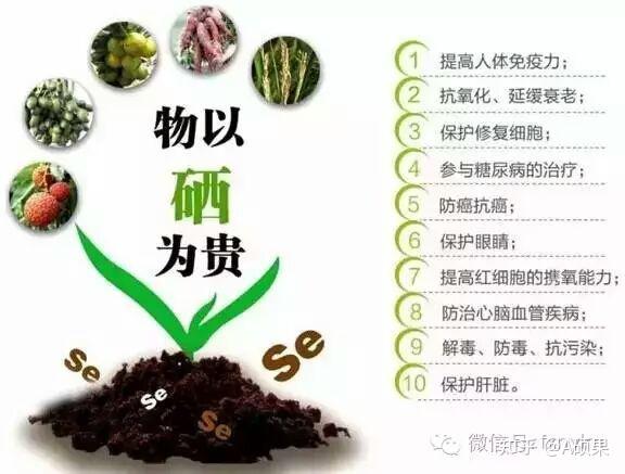 锌硒宝记忆力减退(锌提高记忆力)-硒宝网