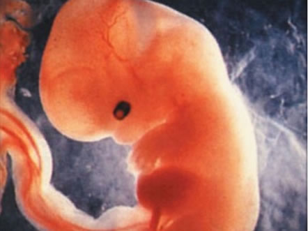 早孕期吃锌硒宝片（孕妇吃锌硒宝片）-硒宝网