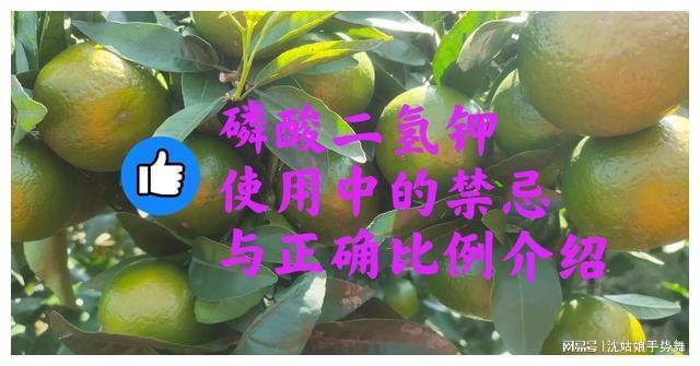 中微量元素水溶肥（微量元素水溶肥怎么浇花）-硒宝网