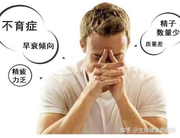 生精片配合锌硒宝（锌硒宝和生精片谁好）-硒宝网