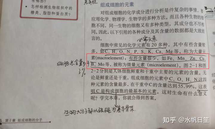 人体中微量元素(人体微量元素中的防癌之王是谁)-硒宝网