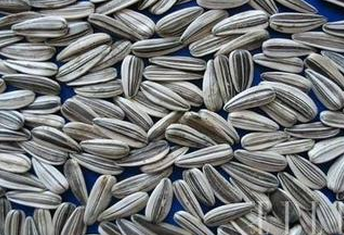 什么水果最补钙(吃啥水果补钙)-硒宝网