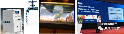 锌硒宝片都管什么(锌硒宝说明)-硒宝网