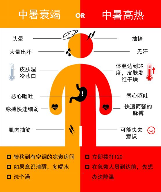 身体缺少微量元素的表现（缺微量元素身体会有什么表现）-硒宝网