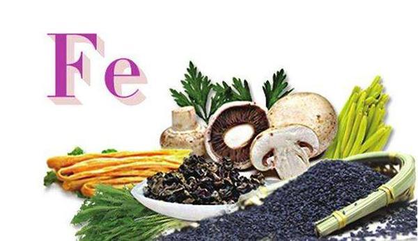 补铁食物有哪些(食物补铁有用吗)-硒宝网