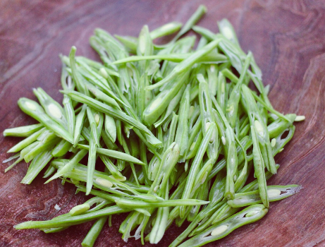 鸡肉补钙吗（鸡肉补钙多吗）-硒宝网