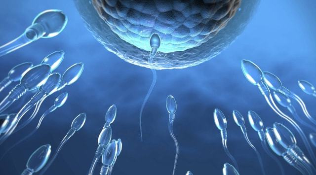 男士男宝备孕锌硒(备孕男人吃锌硒宝作用)-硒宝网