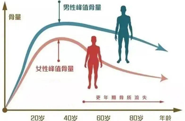 鸡肉补钙吗（鸡肉补钙还是补铁）-硒宝网
