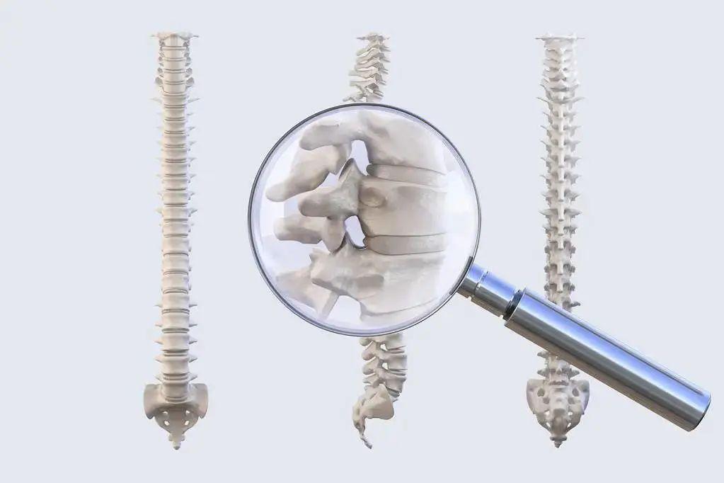 鸡肉补钙吗（鸡肉补钙还是补铁）-硒宝网