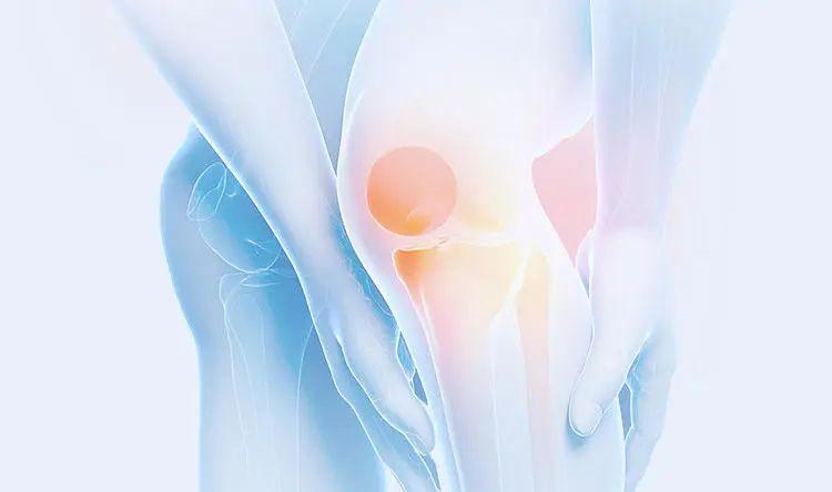 鸡肉补钙吗（鸡肉补钙还是补铁）-硒宝网