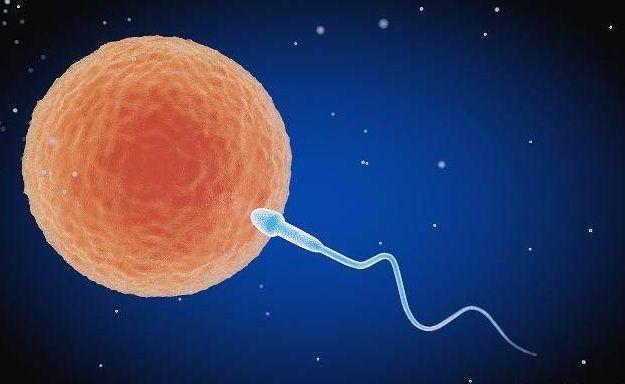 男士男宝备孕锌硒(男士备孕锌硒宝片十大排行)-硒宝网