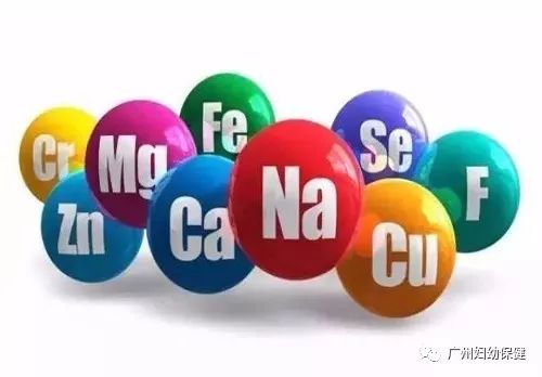 微量元素铅(铅微量元素是什么)-硒宝网