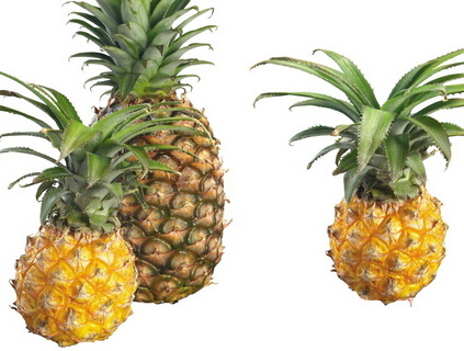 补铁蔬菜和水果有哪些（蔬菜水果补铁有哪些）-硒宝网