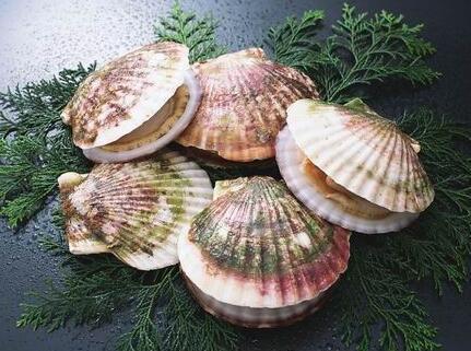 婴儿什么时候补锌（婴儿补锌怎么补）-硒宝网