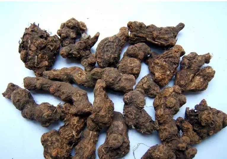 猪肝补钙吗(猪肝补钙不)-硒宝网