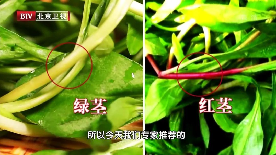 猪肝补钙吗(猪肝补钙效果怎么样)-硒宝网