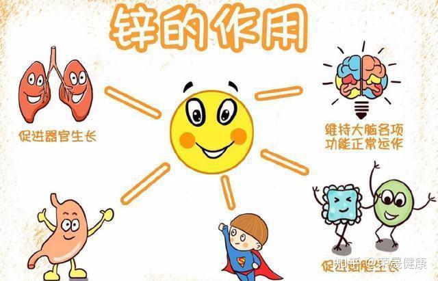 补锌硒的食物有哪些(补锌补硒食物)-硒宝网