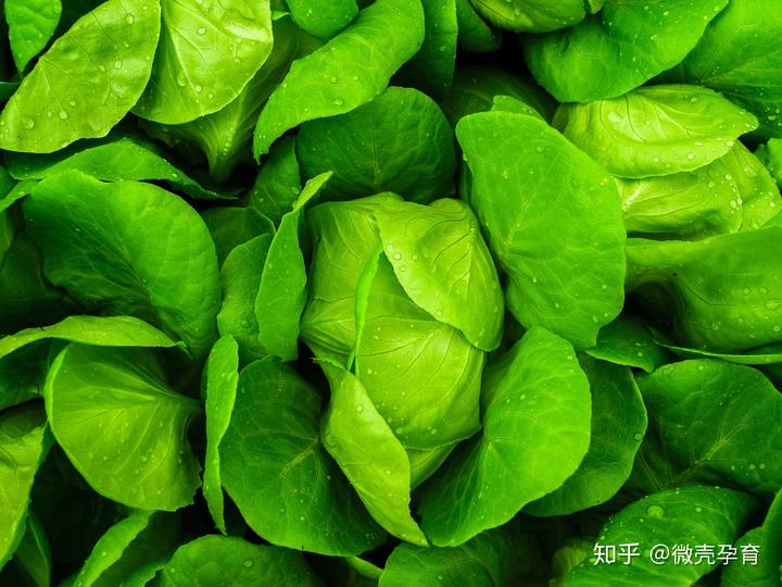 麻酱补钙吗(麻酱补钙食物排行榜8强)-硒宝网