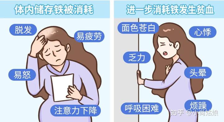 备孕需要补铁吗（备孕期需要补铁吗）-硒宝网