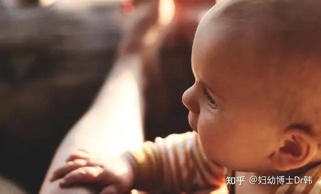 吃什么补铁蛋白（补铁蛋白吃啥）-硒宝网