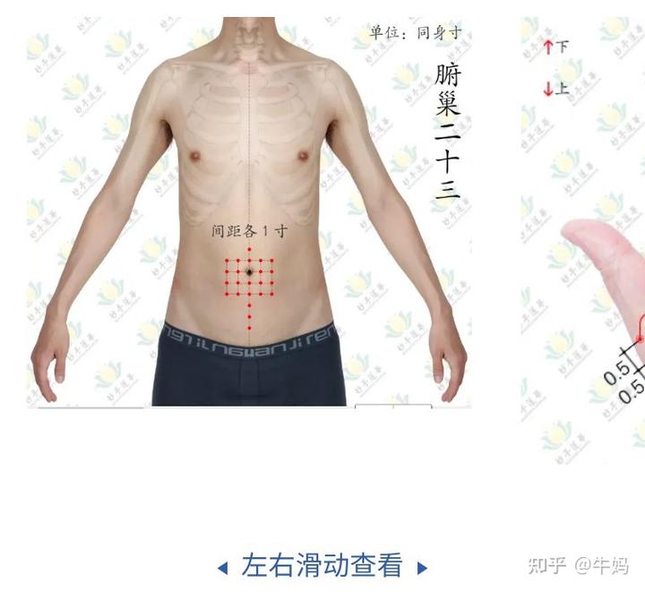 补铁容易便秘吗（便秘容易补铁吗）-硒宝网