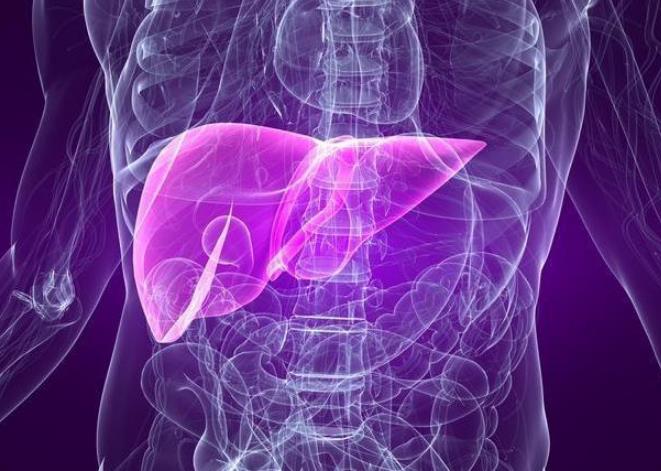 吃锌硒宝对肝好吗(锌硒宝吃了有副作用吗)-硒宝网