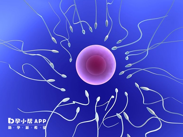 锌硒宝的功能主治（锌硒宝片的作用及功能主治）-硒宝网