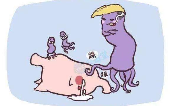 鸡胗补铁吗(补铁鸡肉)-硒宝网