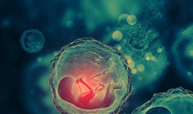 婴儿几个月补锌（婴儿补充锌）-硒宝网