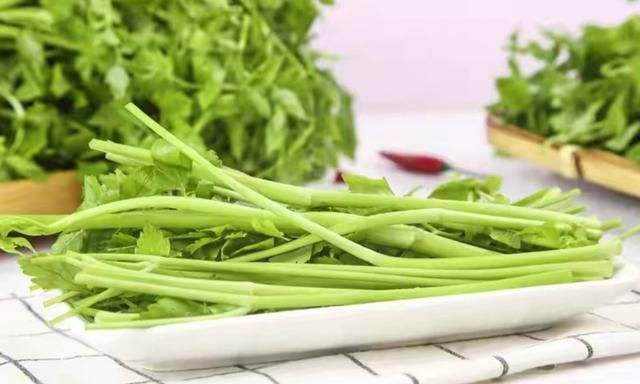 补钙吃什么菜（补充钙的菜）-硒宝网