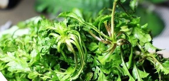 补钙吃什么菜（吃菜补钙食谱）-硒宝网