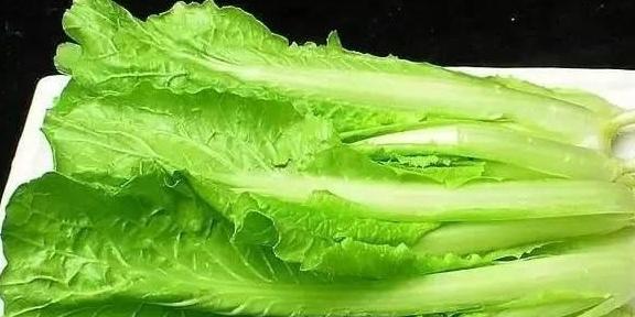 补钙吃什么菜（吃菜补钙食谱）-硒宝网