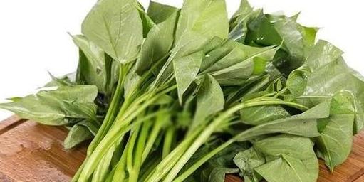 补钙吃什么菜（吃菜补钙食谱）-硒宝网