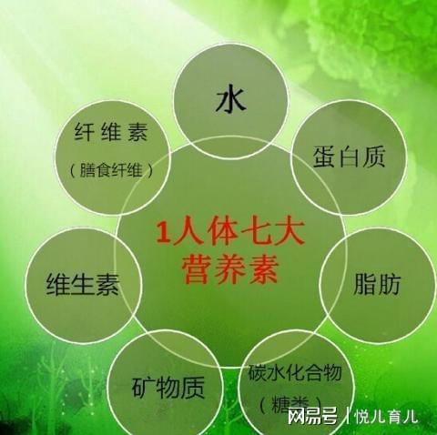 孕期几个月开始补钙（孕妇补钙开始）-硒宝网
