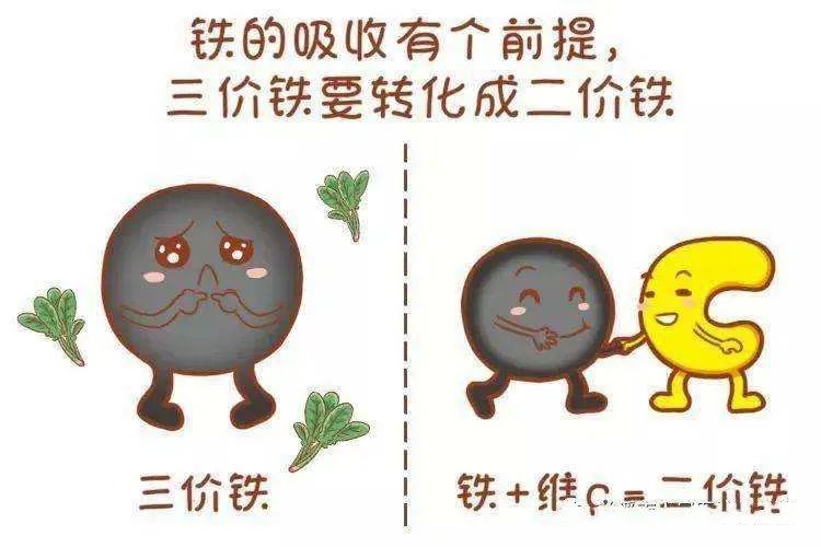 怎么补铁蛋白（蛋白补铁口服液副作用）-硒宝网