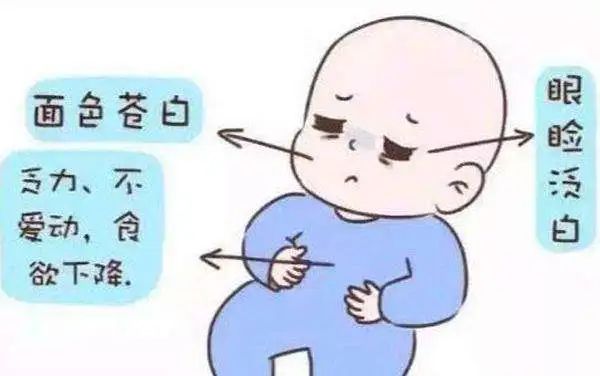 怎么补铁蛋白（蛋白补铁口服液副作用）-硒宝网