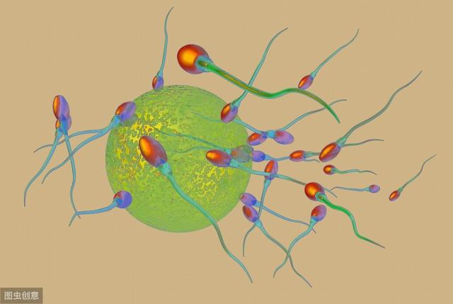 锌硒宝治疗前列腺(前列腺炎锌硒宝)-硒宝网