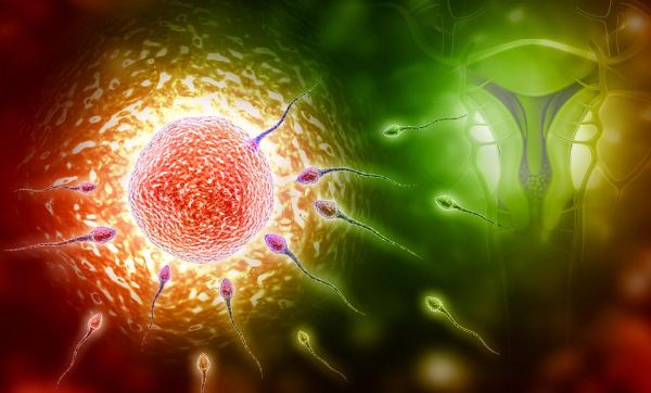 锌硒宝治疗前列腺(前列腺炎锌硒宝)-硒宝网