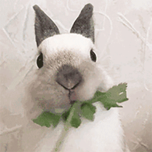 什么汤最补钙(汤补钙吗)-硒宝网