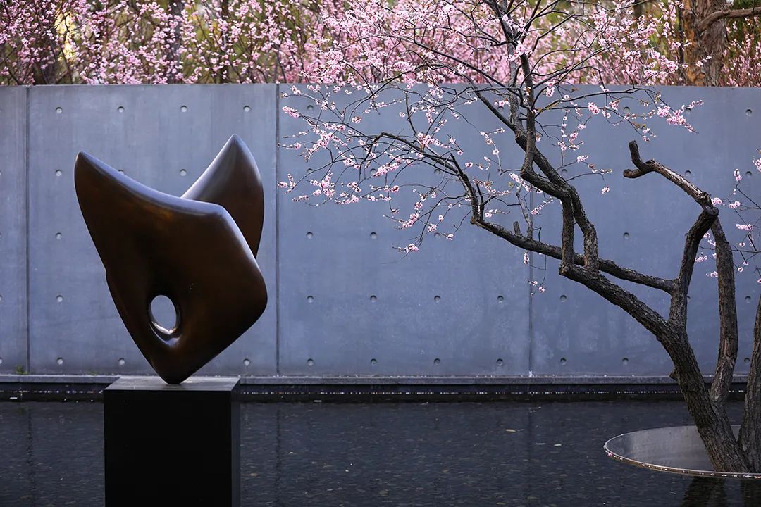 几点的太阳最补钙(补钙太阳晒要多长时间)-硒宝网