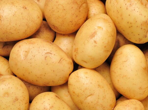 吃锌硒宝能喝酒吗（喝酒后吃硒有效果吗）-硒宝网