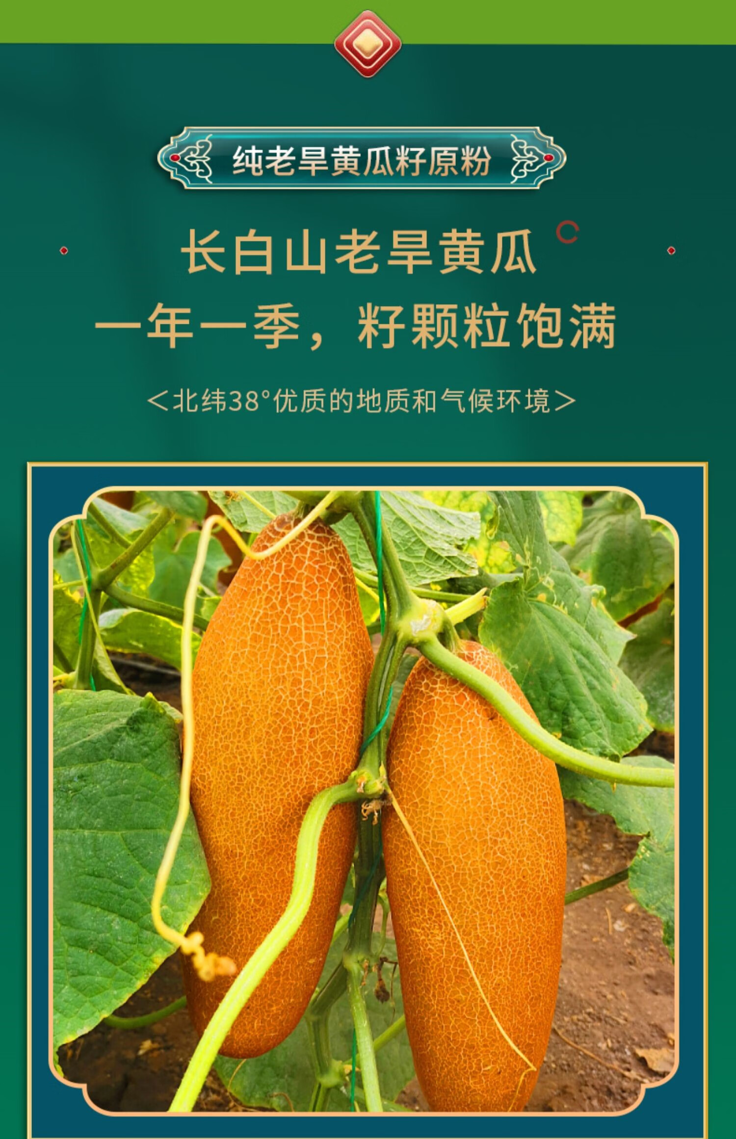 黄瓜子补钙吗(黄瓜钙含量高吗)-硒宝网